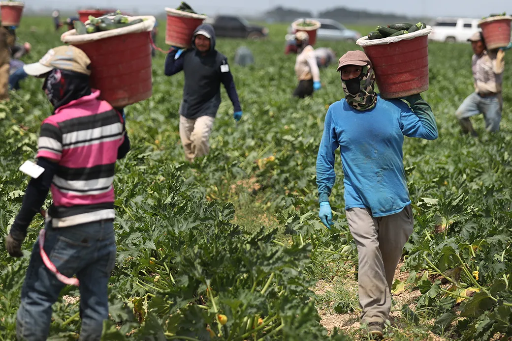 Farm Workers Needed in UK (Visa Sponsorship)